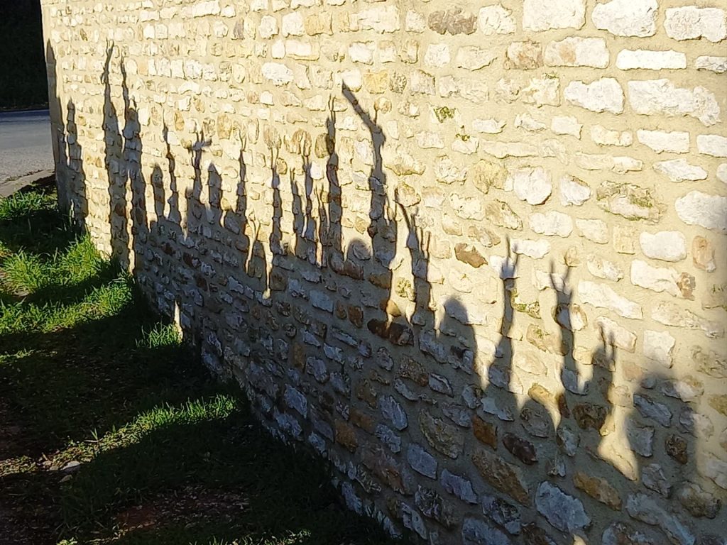 Ombre des enfants projetée sur un mur