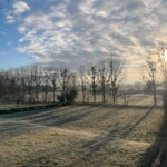 gelée matinale à Maizieres