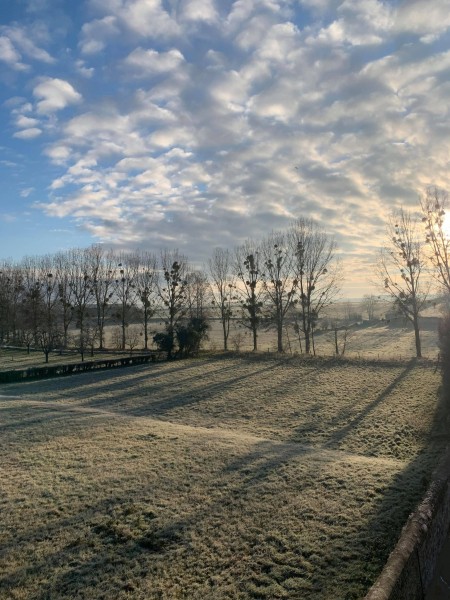 gelée matinale à Maizieres