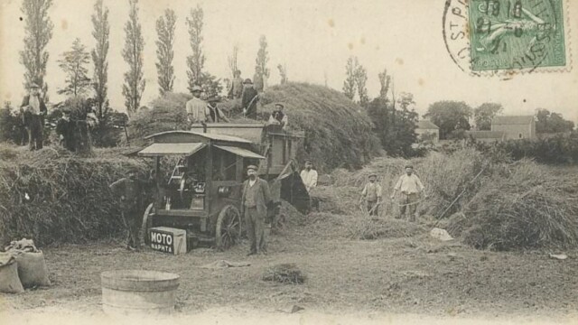 paysans lors d'un battage